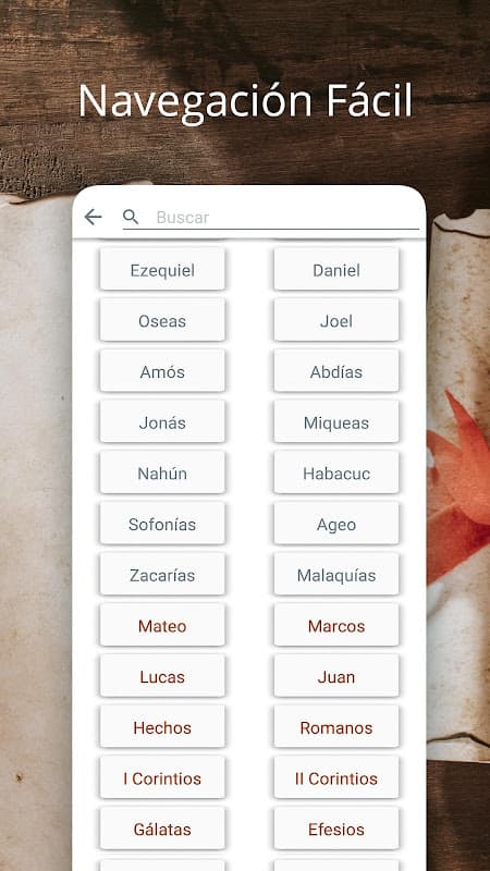 La Santa Biblia Católica screenshot 3