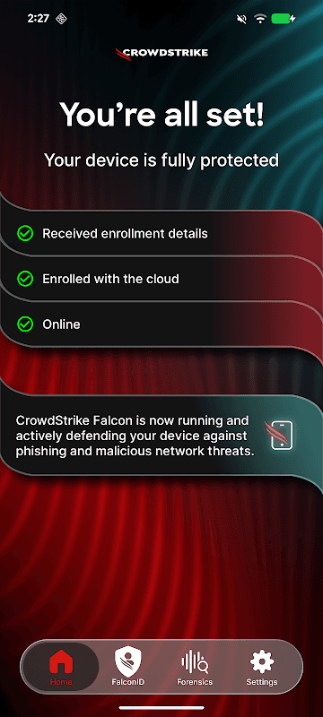CrowdStrike Falcon screenshot 3