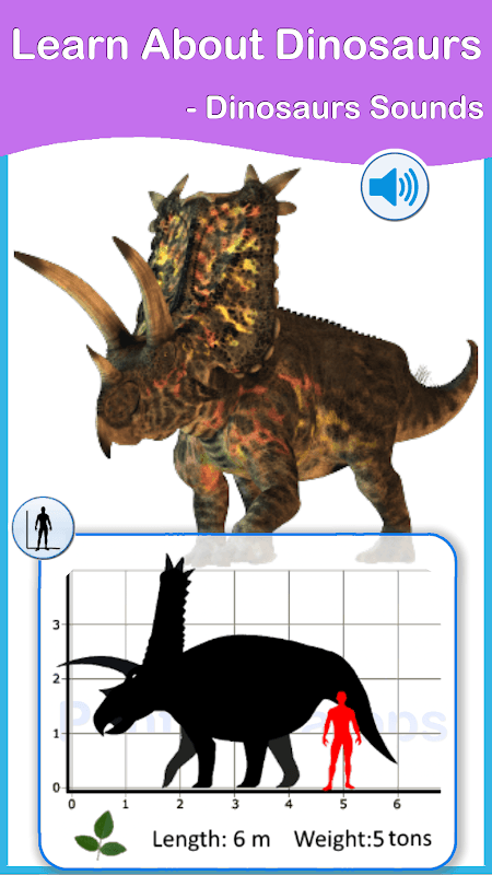 Dinosaur Flashcards screenshot 2