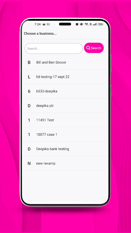 dns accounting screenshot 3