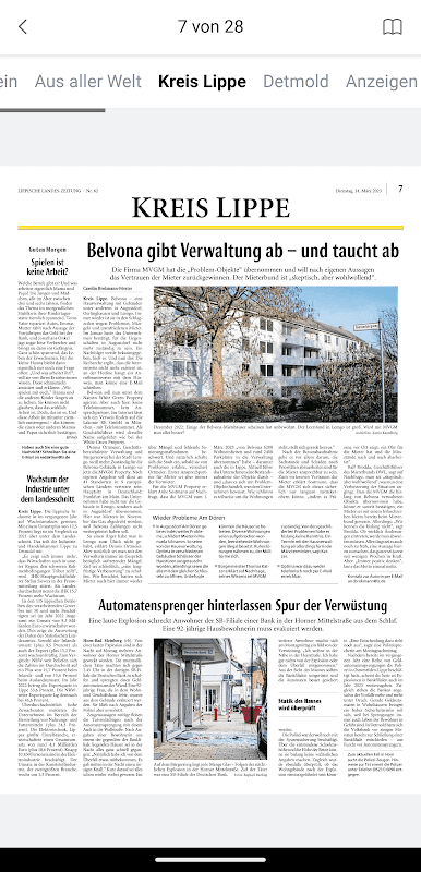 LZ ePaper screenshot 2