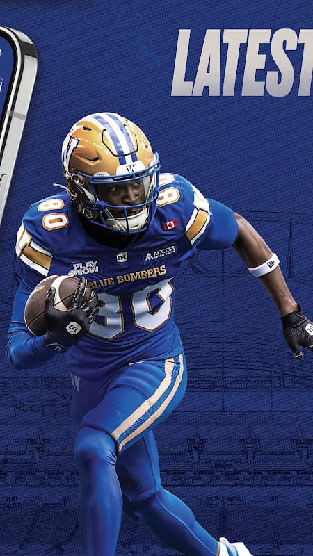 Blue Bombers screenshot 2
