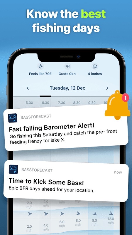 BassForecast screenshot 5