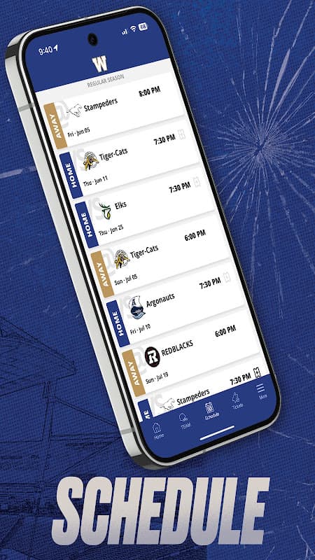 Blue Bombers screenshot 4