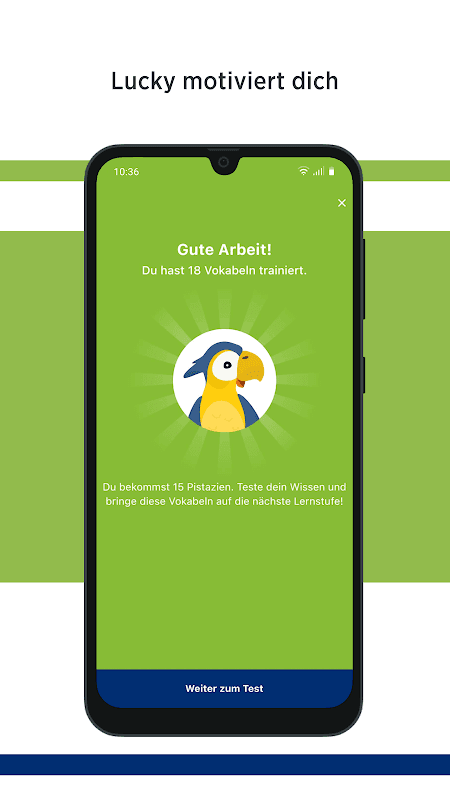 Green Line Vokabeltrainer screenshot 6