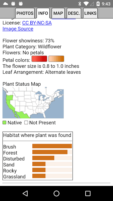 South California Wildflowers screenshot 6