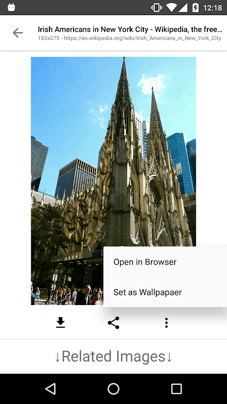 Image Search - ImageSearchMan screenshot 4