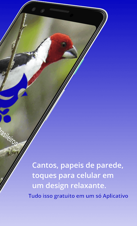 Brazilian's birds sounds screenshot 2