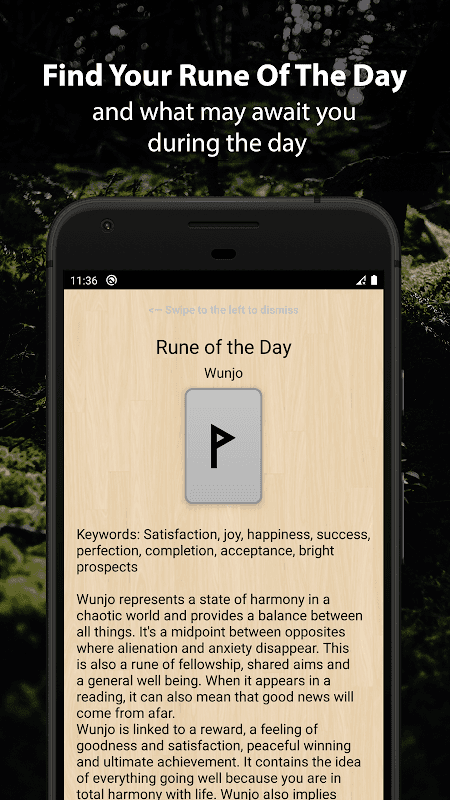 Runic Divination screenshot 4
