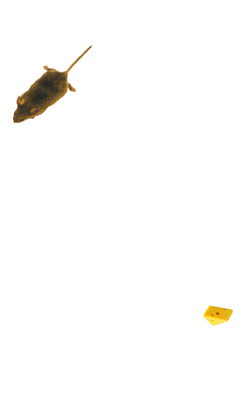 Mouse simulator: game for cat screenshot 3