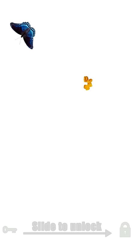 Fly simulator: cat toy screenshot 2