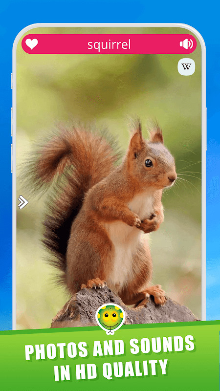 Animal Sounds screenshot 4