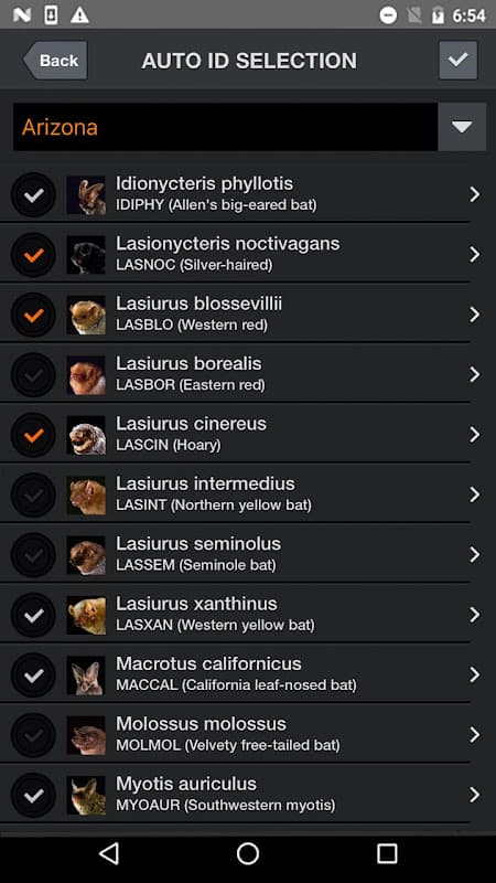 Echo Meter Touch Bat Detector screenshot 3