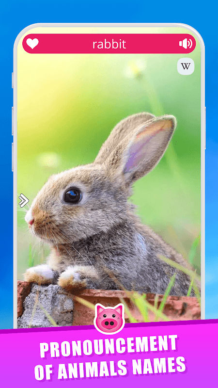 Animal Sounds screenshot 2