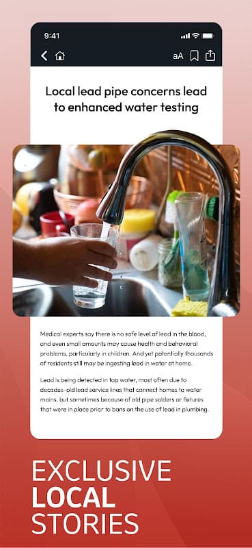 Times-News MagicValley.com screenshot 2