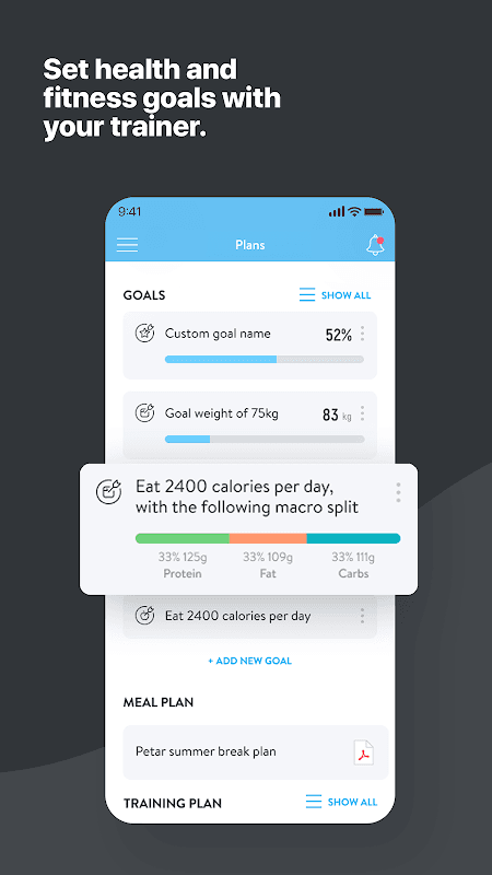 FENIX screenshot 4