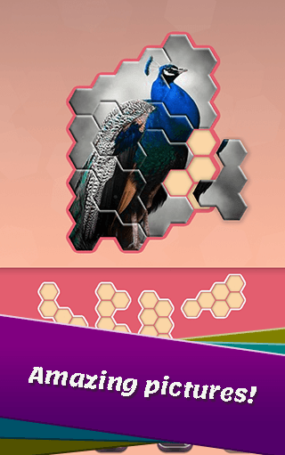 Animal Hexa Puzzle screenshot 3