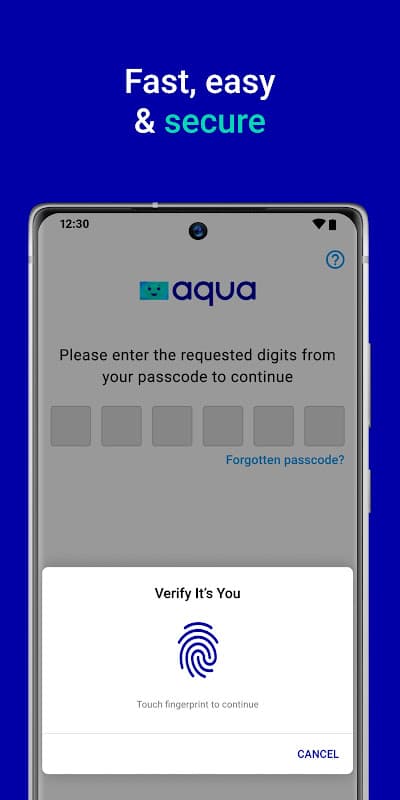 Aqua credit card screenshot 4