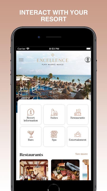 The Excellence Collection screenshot 3