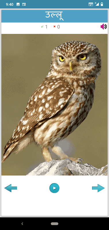 Hindi Animals and Birds - Quiz screenshot 5