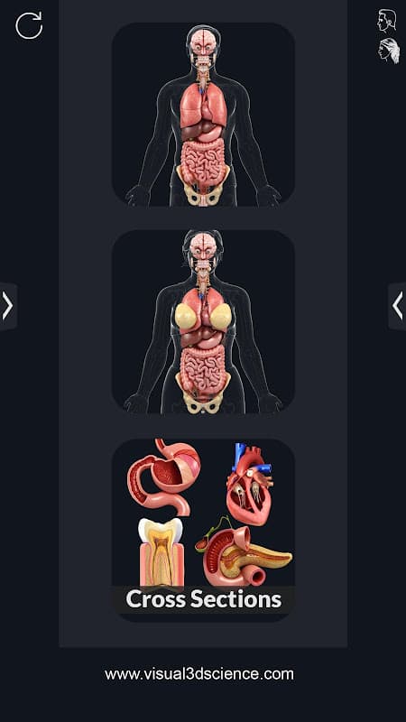 Organs Anatomy Pro. screenshot 1