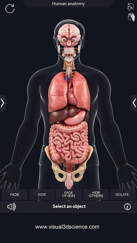 Organs Anatomy Pro. screenshot 6