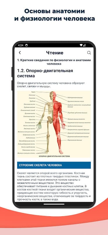 Медпомощь При ДТП screenshot 5