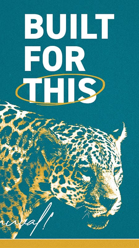 Jacksonville Jaguars screenshot 4