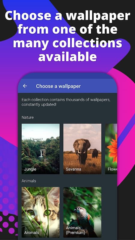Casualis:Auto wallpaper change screenshot 4