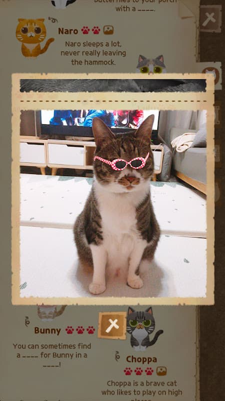 Secret Cat Forest screenshot 6