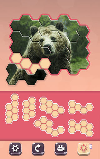 Animal Hexa Puzzle screenshot 5