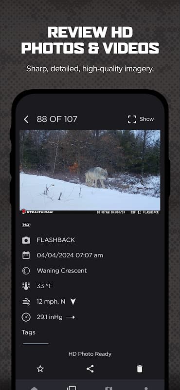 Stealth Cam COMMAND PRO screenshot 5