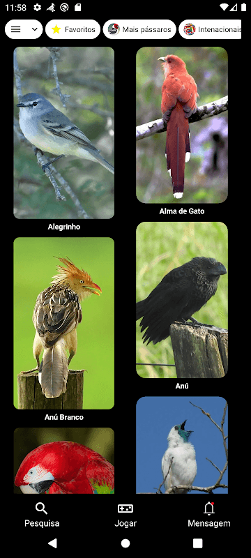 Brazilian's birds sounds screenshot 3