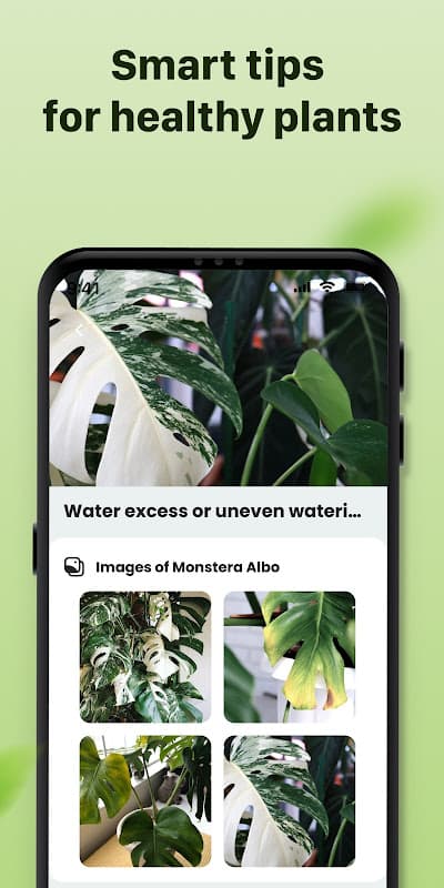 Plant ID: Plant Identification screenshot 5
