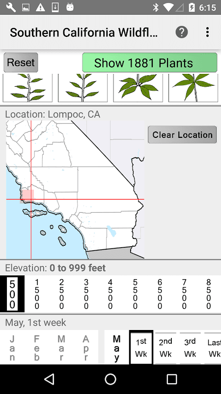South California Wildflowers screenshot 2
