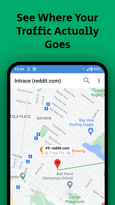 Intrace: Visual Traceroute screenshot 3