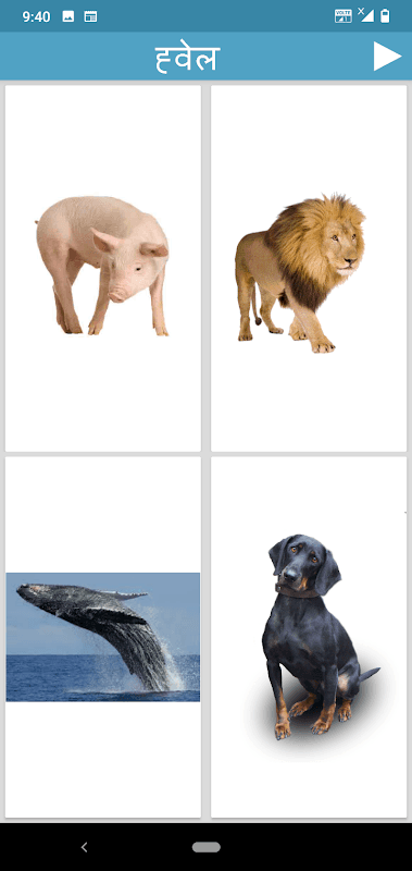 Hindi Animals and Birds - Quiz screenshot 3