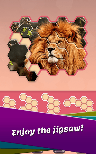 Animal Hexa Puzzle screenshot 4