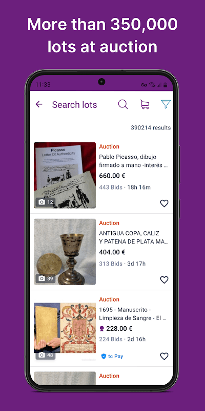 todocoleccion auctions screenshot 3