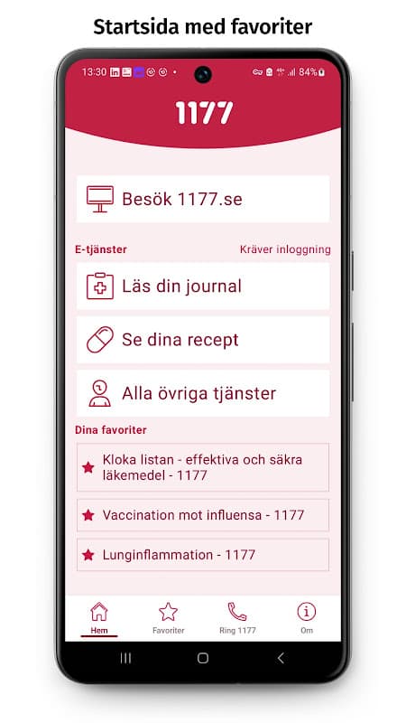 1177 screenshot 3