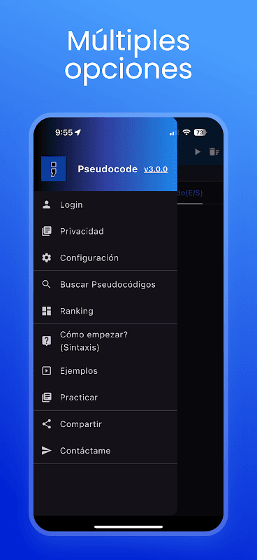 Pseudocode, PSeInt, Visualg screenshot 3