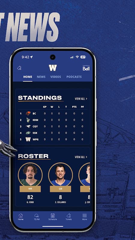 Blue Bombers screenshot 3