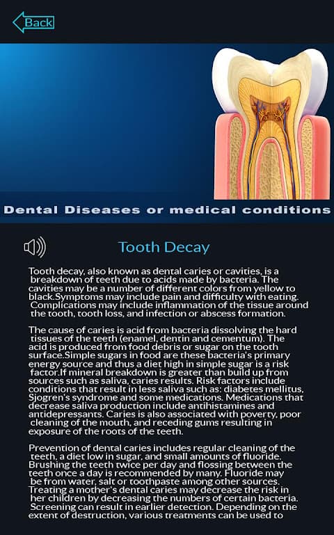 Dental Anatomy Pro. screenshot 3
