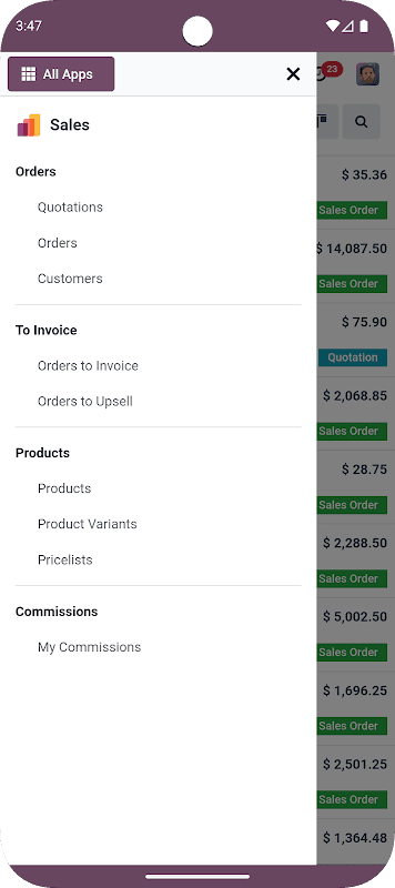 Odoo screenshot 4