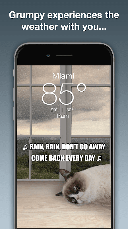 Grumpy Cat Weather screenshot 2