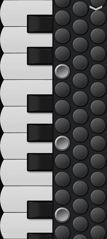 Piano Accordion screenshot 1