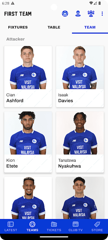 Cardiff City screenshot 4