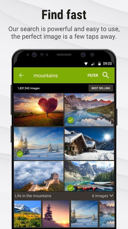 Stock Photos by Dreamstime screenshot 4