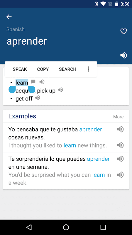 Spanish English Dictionary screenshot 1