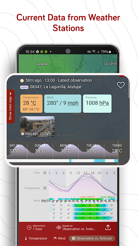 Windy.com - Weather Radar, Satellite and Forecast screenshot 6